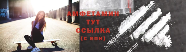тгк Пересвет