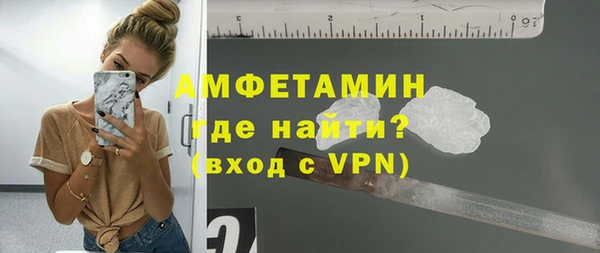 индика Пестово