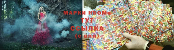 индика Пестово