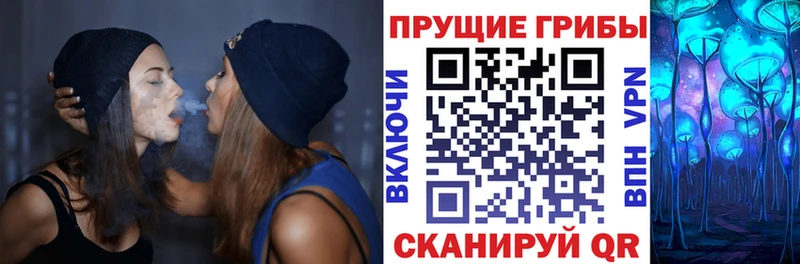 hydra вход  Славянск-на-Кубани  Галлюциногенные грибы Psilocybe 